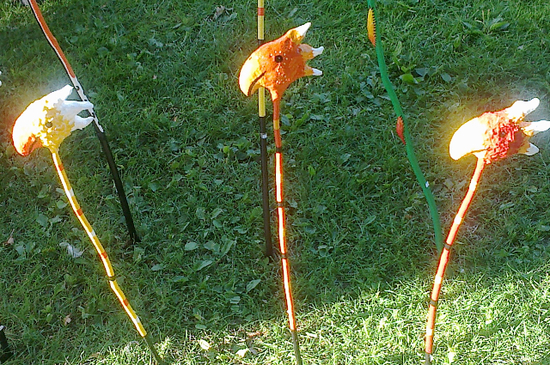 3 freche Vögel