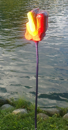 ewige_blume-knospe.jpg
